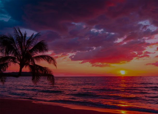 dscr loan florida rates, florida dscr, florida dscr loan, dscr loan rates, dscr loan calculator, dscr loan company, dscr loan broker, dscr loan lender, dscr condo loan, dscr condotel loan, dscr florida, dscr loan florida requirements